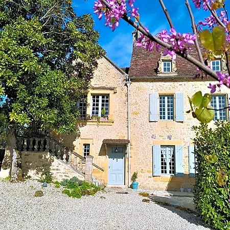 Rue Du Chateau