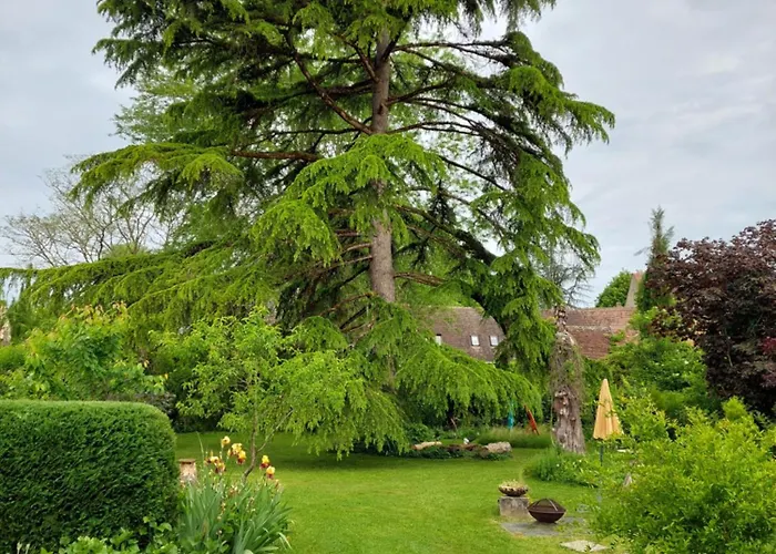 Rue Du Chateau Lalinde